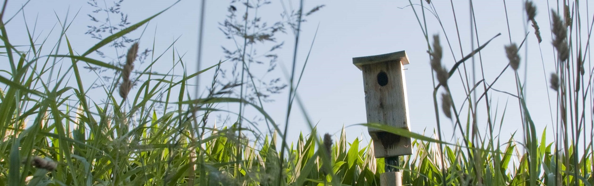 Birdhouse